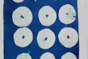 Cyanotypie-Zitronenscheiben_800h