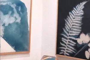 Badezimmer_Cyanotypien_800