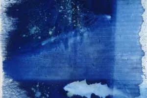 Fisch_Loewenzahn_cyanotypie_leinwand_800