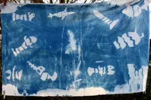 Fische_Spaltschnitte_Schule_2_800