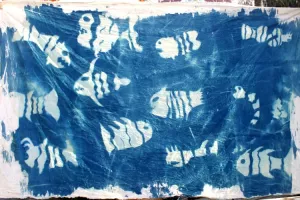 Fische_Spaltschnitte_Schule_800