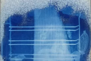 cyanotypie_leinwand_40_40_2021_08_800