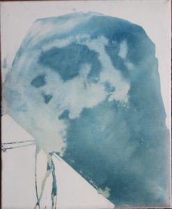 Cyanotypie auf Leinwand 40x60cm, Chemogramm